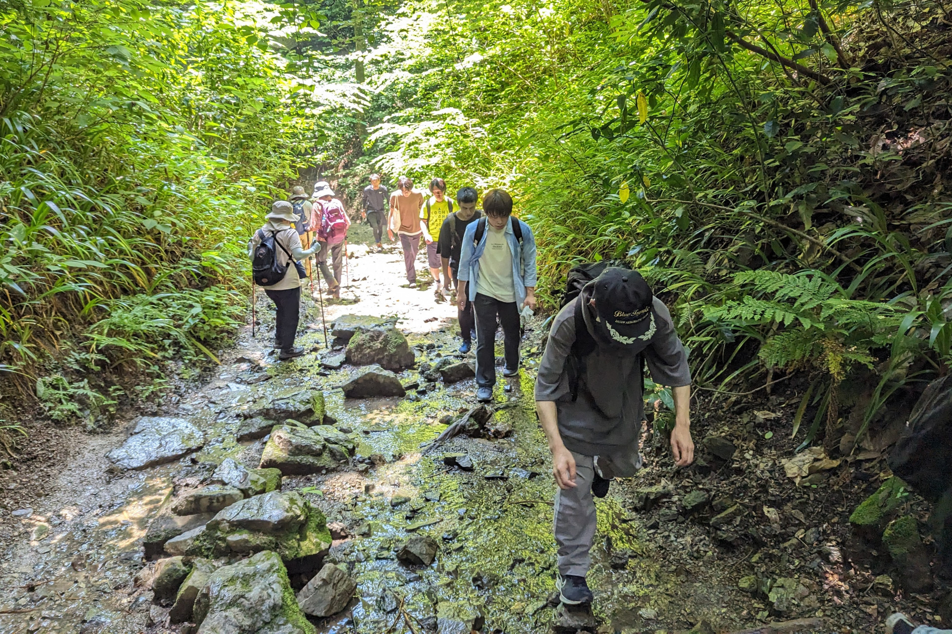2024　高尾山登山①